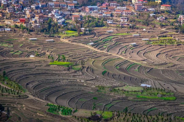 Terraço Fazenda Arroz Estéril Após Temporada Colheita Nepal — Fotografia de Stock