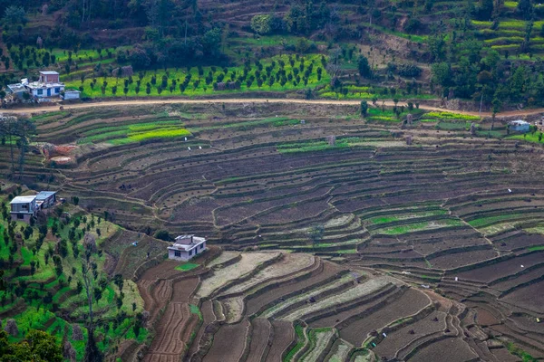 Terrace Αγρόκτημα Ρυζιού Άγονη Μετά Την Περίοδο Συγκομιδής Στο Νεπάλ — Φωτογραφία Αρχείου