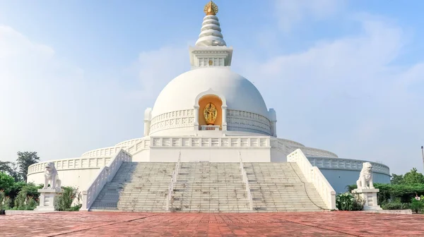 Majestuosa Estupa Paz Mundial Lumbini Nepal —  Fotos de Stock