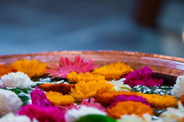 Konteynırda bahar çiçeği. Konteynır genellikle suyla doludur ve renkli çiçekler suyun yüzeyine yerleştirilir. seçici odak