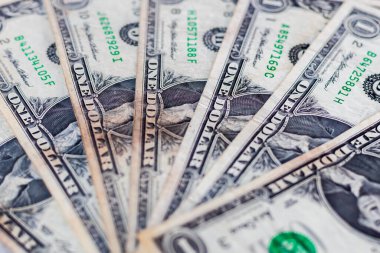 Amerikan 1 Dolarlık Para Bankası Notları. seçici odak