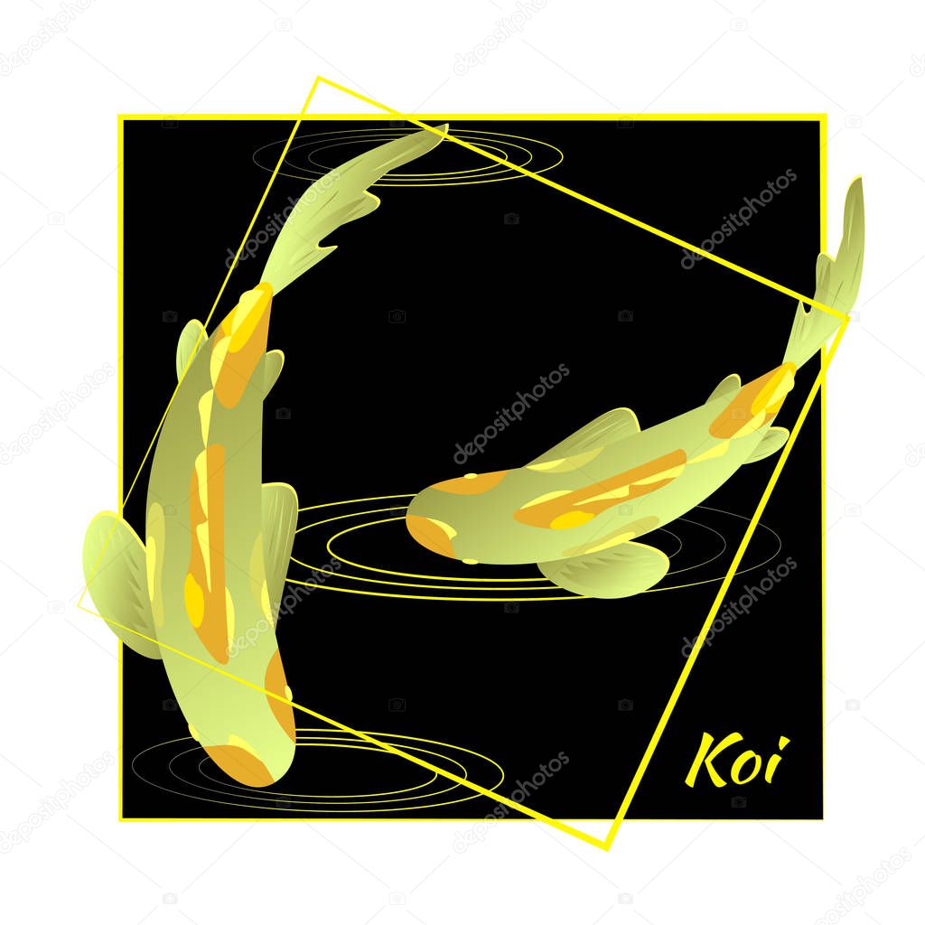Set with fish,  golden carp koi on back background in golden frame. Vector illustration, Cyprinus Carpio. For design of logo, tourist postcard, guidebooks.