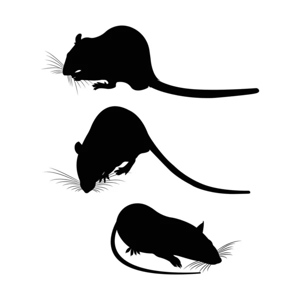 Silueta. Rata de mascotas. Rata decorativa. Rata doméstica. Bonita Rata. corte — Archivo Imágenes Vectoriales