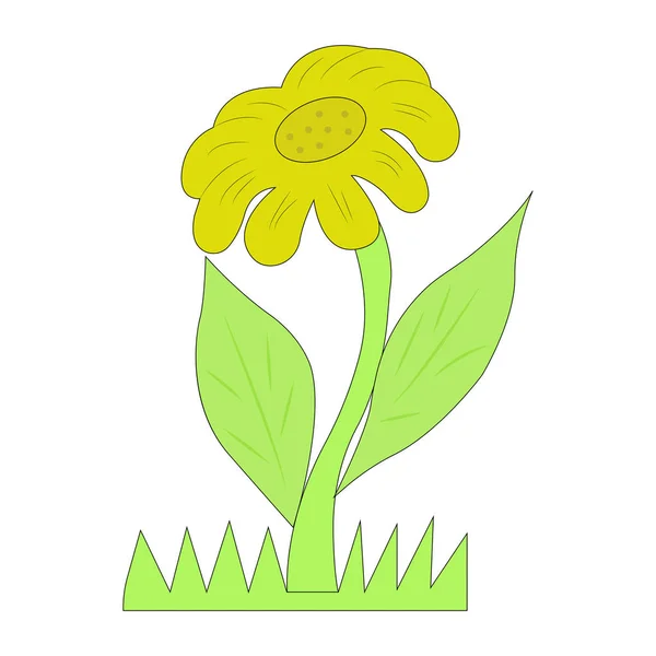 Zonnebloem vector illustratie. bloem, bloem in bloei, decoratief — Stockvector