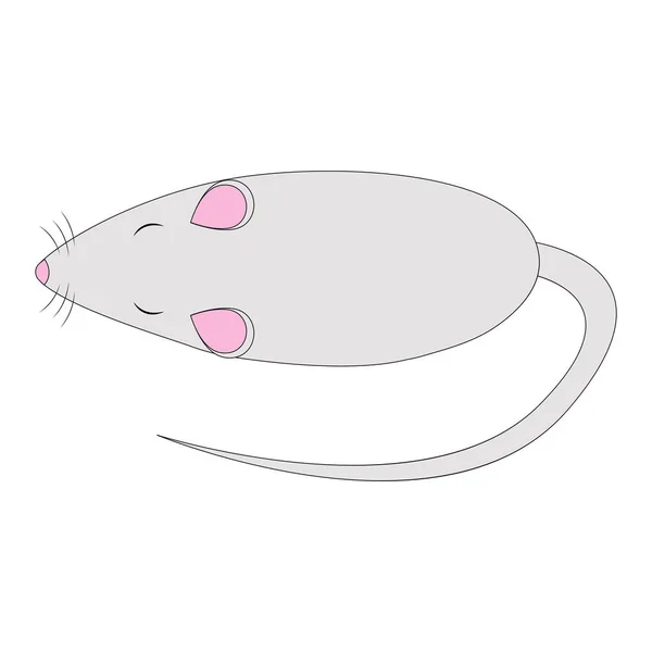 Pet Rat. Un ratto decorativo. Topo domestico. Che bel topo. carino animale domestico — Vettoriale Stock