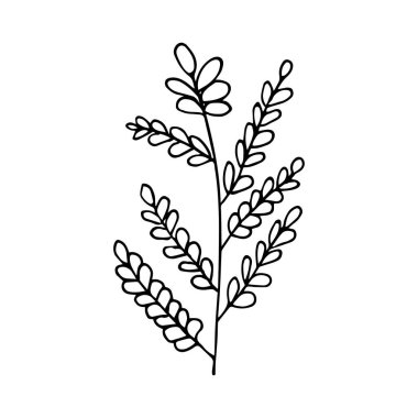 Orman elle çizilmiş vektör bırakır. Sonbahar yaprağı beyaz arka planda izole edilmiş. Botanik orman bitkileri veya Eylül ayı ağaç yaprakları