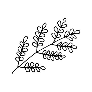 Orman elle çizilmiş vektör bırakır. Sonbahar yaprağı beyaz arka planda izole edilmiş. Botanik orman bitkileri veya Eylül ayı ağaç yaprakları