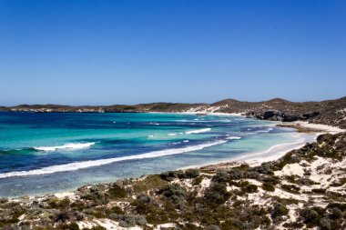 Rottnest Adası 'ndaki Somon Koyu' nun canlı mavi suları şnorkelle yüzmek için mükemmel, Rottnest Adası, Avustralya
