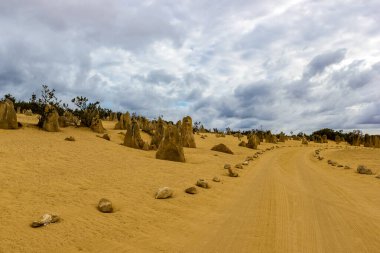 nambung Milli Parkı, Batı Avustralya, kalbinde pinnacles çöl.