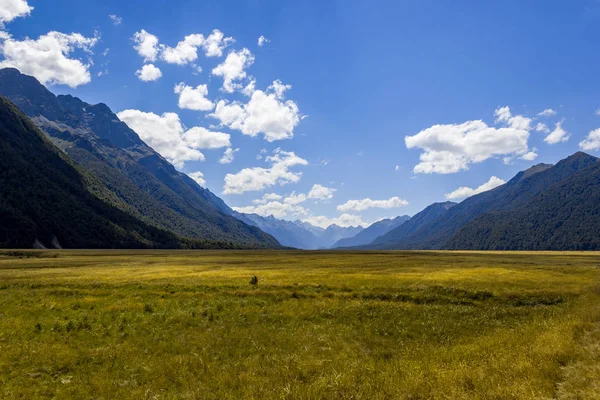 Hermoso paisaje del campo del prado en el valle de Eglinton en la carretera Te Anau-Milford, Parque Nacional Fiordland, Isla del Sur, Nueva Zelanda . — Foto de Stock