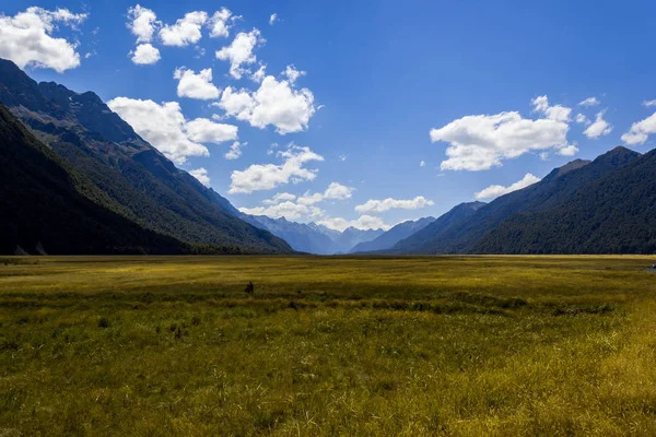 Hermoso paisaje del campo del prado en el valle de Eglinton en la carretera Te Anau-Milford, Parque Nacional Fiordland, Isla del Sur, Nueva Zelanda . — Foto de Stock