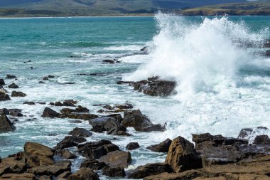 Fırtınalı bir günde Yeni Zelanda 'nın Porpoise Körfezi' nde kayaları ezen dalgalar, Waikawa, Yeni Zelanda