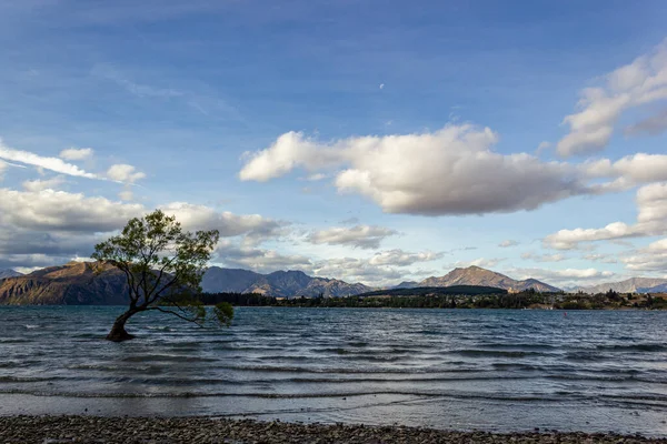 Árbol del lago Wanaka al atardecer: el árbol más fotografiado de Nueva Zelanda, Wanaka — Foto de Stock