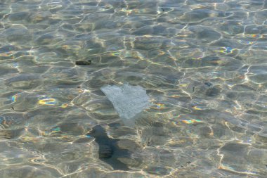 Plastik torbalar okyanuslarda, palmada, mallorkada kirliliğe ve çevreye zarar verir.