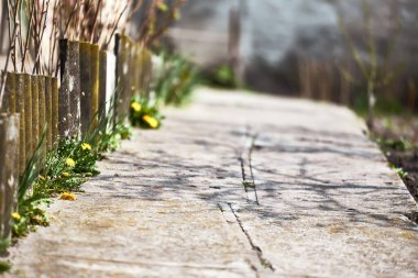 Bahçeye çıkan yeşil çitli beton yol. Kulbaba çitin altında yetişiyor. makro fotoğraf