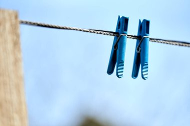 Mavi gökyüzünün ortasında telde iki mavi kuru erik asılı. Özel sektör. makro fotoğraf