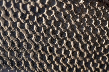 Sabahın erken saatlerinde parlayan taşın dokusu. makro fotoğraf. Geçmişi. Yüzeye. soyutlama