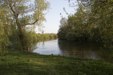Belarus Brest Mukhavets sınır nehri güneşli bir yaz gününde