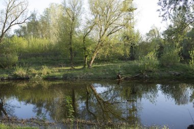 Belarus Brest Mukhavets sınır nehri güneşli bir yaz gününde