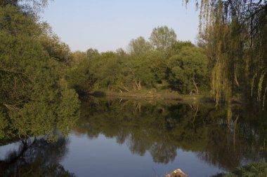 Belarus Brest Mukhavets sınır nehri güneşli bir yaz gününde