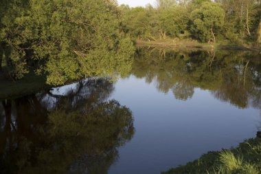 Belarus Brest Mukhavets sınır nehri güneşli bir yaz gününde