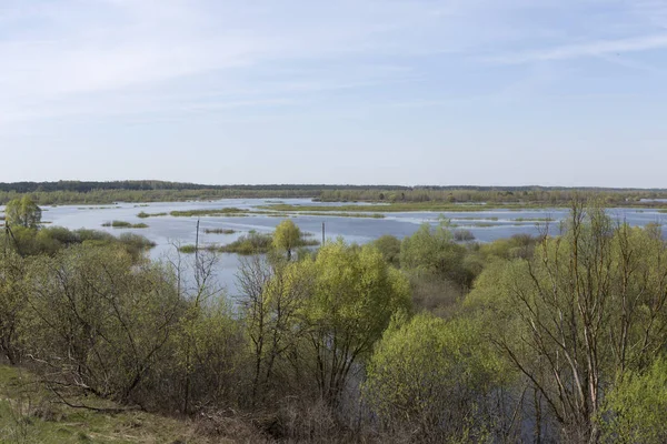 Biélorussie Vue Sur Dniepr Déversements Sous Bobruisk Ensoleillé Journée Été — Photo