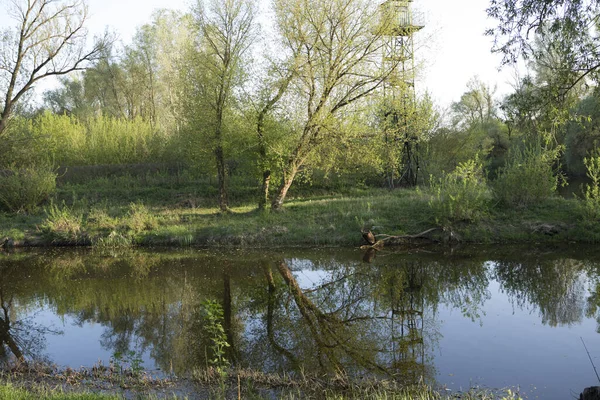 Belarus Brest Mukhavets sınır nehri güneşli bir yaz gününde