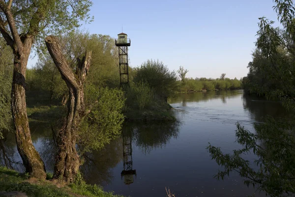 Belarus Brest Mukhavets Border River Sunny Summer Day — Stock Photo, Image