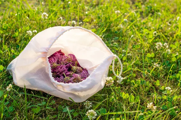 Red clover flowers in fabric bag on meadow grass