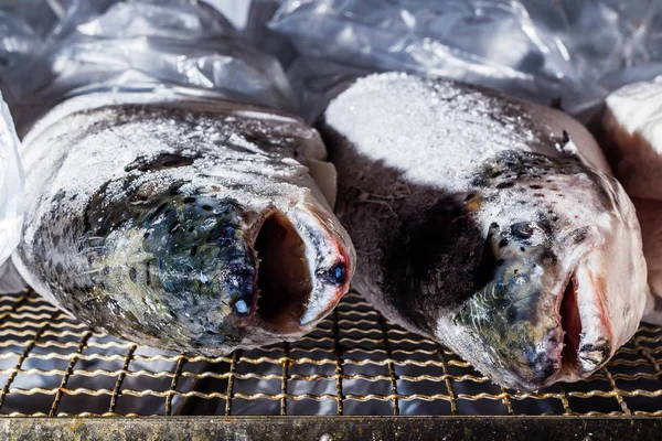 Teste di pesce refrigerate sono disposti per la lavorazione e l'imballaggio in fabbrica — Foto Stock