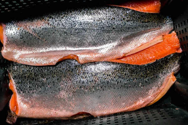 Pezzi di pesce rosso con pelle refrigerata che giace in un contenitore nero, vista dall'alto — Foto Stock