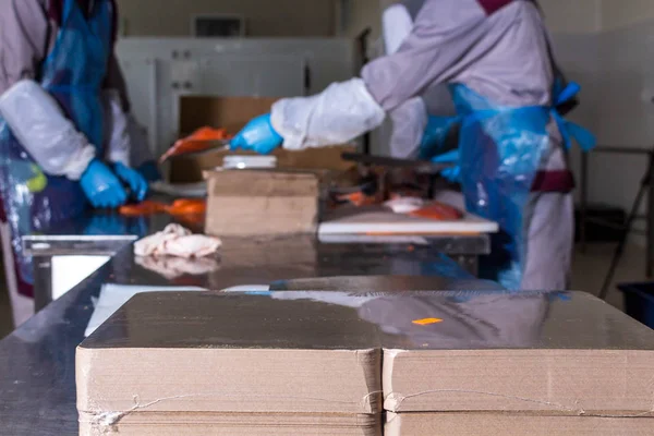 Fish production. Worker lays out pieces of fish on the packaging for further sealing