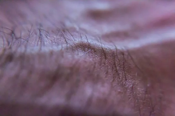 La vena bajo la piel por la mano con el cabello. Macro tiro — Foto de Stock