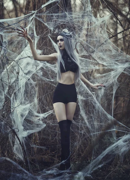 Όμορφη σέξι κορίτσι Gothic με ωχρό δέρμα και μακριά λευκά μαλλιά σαν μαύρη χήρα αράχνη στον ιστό της αράχνης. Σκοτάδι πριγκίπισσα με βαμπίρ μακριά νύχια του στέμματος. Γυναίκα αράχνη ύφανση δίχτυ. Βλέμμα Gothic. — Φωτογραφία Αρχείου