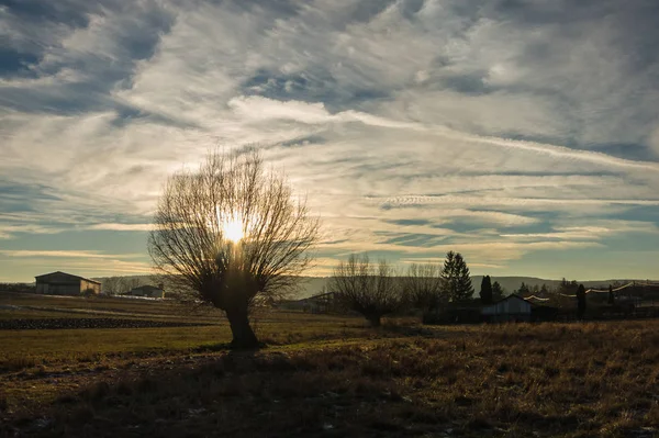 Landscape in autumn — Stock Photo, Image