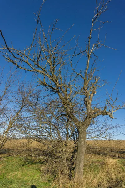 Paisaje en otoño —  Fotos de Stock