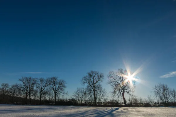 Paesaggio in inverno — Foto Stock