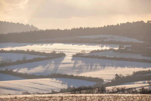 Landschap in de winter — Stockfoto