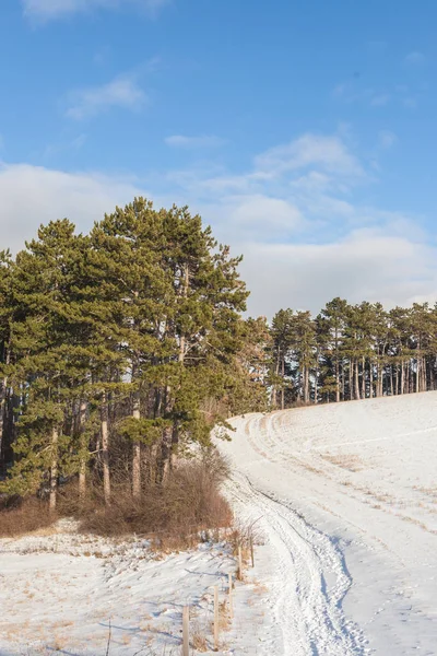 Paisaje en invierno — Foto de Stock