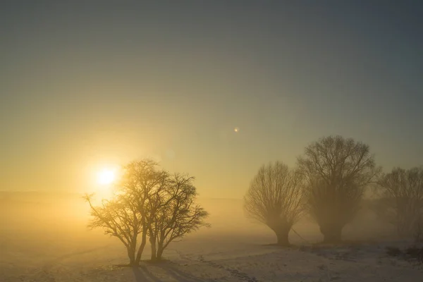 Pôr do sol de inverno no nevoeiro — Fotografia de Stock