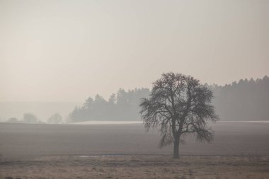 Kışın kar geri kalanı ile manzara