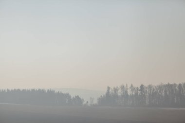 Kışın kar geri kalanı ile manzara
