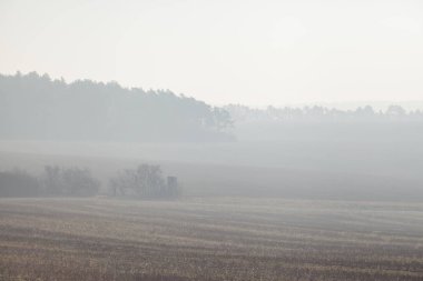 Kışın kar geri kalanı ile manzara
