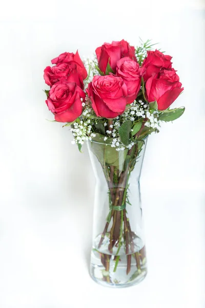 Bir hediye olarak kırmızı gül