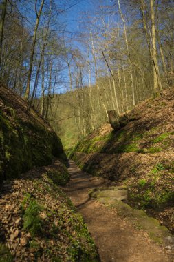 Bir Eisenach, Drachenschlucht
