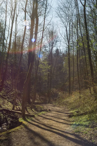 Le Drachenschlucht à Eisenach — Photo