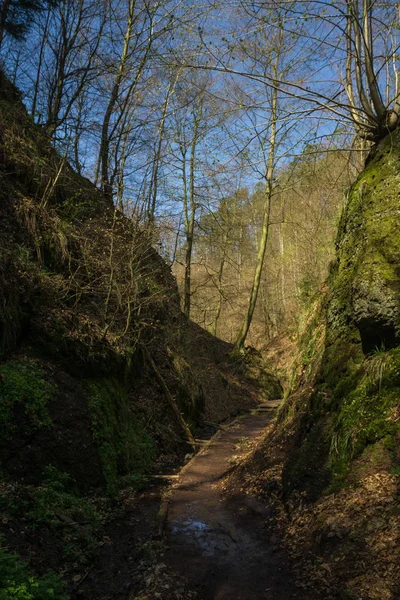 The Drachenschlucht at Eisenach — Stock Photo, Image