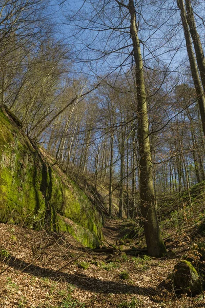 Drachenschlucht i Eisenach — Stockfoto