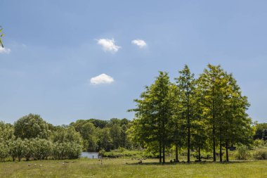 Baltık Denizi tatil gezisi