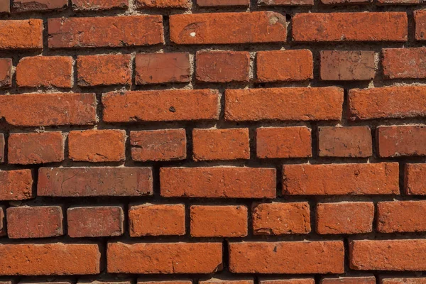 arka plan olarak bir tuğla duvar